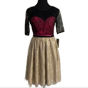 Corey Lynn Calter SZ 10 Lace Covered Bustier Skater Skirt Belted Dress NWT
